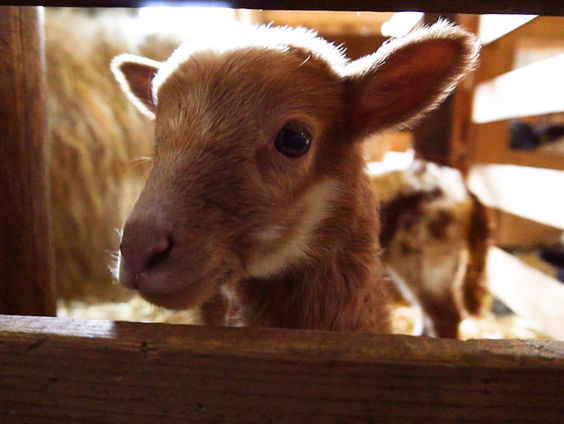 Denkend aan Midden Drenthe