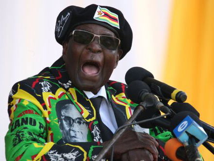 Mugabe maakt weg vrij voor dynastie in Zimbabwe