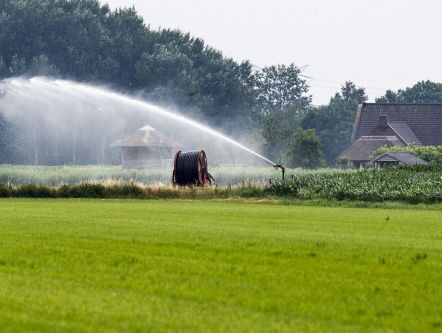 'Boeren frauderen met landsgrenzen'