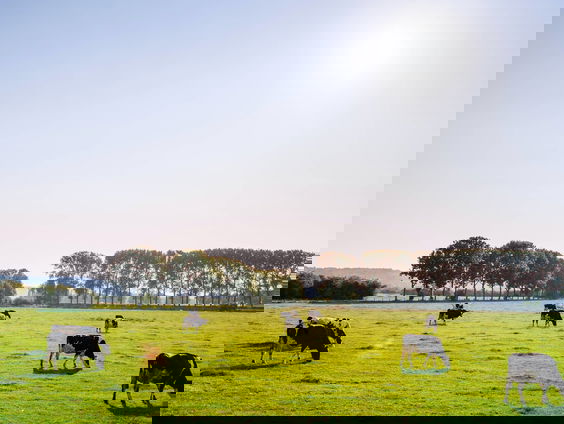 Hoe krijg je de landbouwsector bij elkaar?