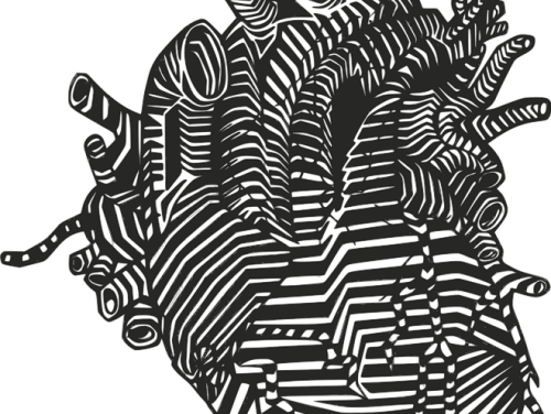 Revolutie in harttransplantatie: harten van overleden personen transplanteren