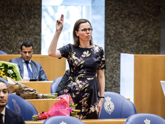 Nieuwkomers in de Tweede Kamer over hun nieuwe baan