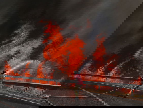 Bosbranden: hoe leer je daarmee leven?