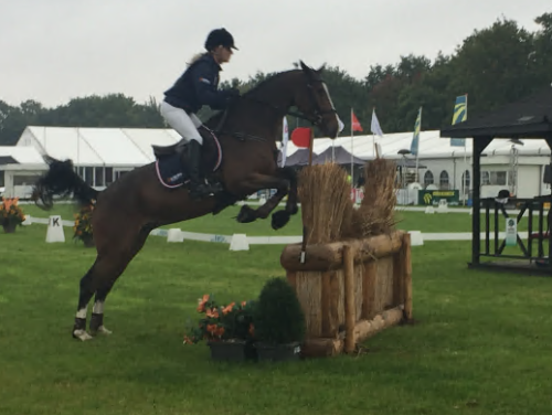 De Nederlandse dressuurploeg met een nieuwe bondscoach op jacht naar medailles op de Spelen