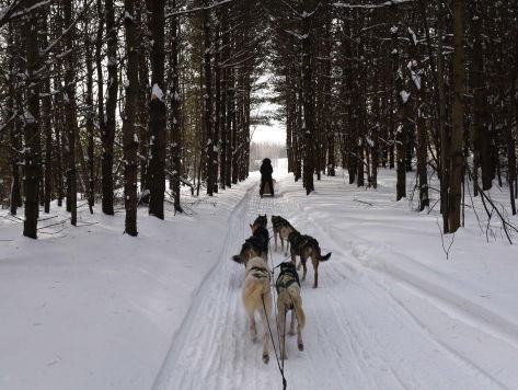Koudegolf in Canada, gevoelstemperatuur -40