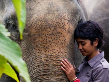 Future for Nature awards 2017