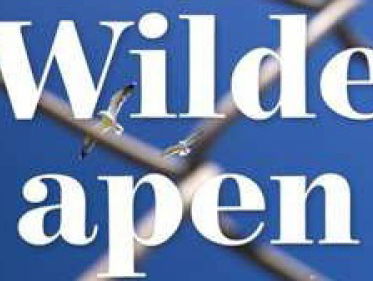 Kanshebber Jan Wolkers Prijs: Wilde apen