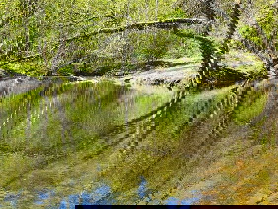 Landaankoopfonds zorgt voor bescherming van bedreigde soorten