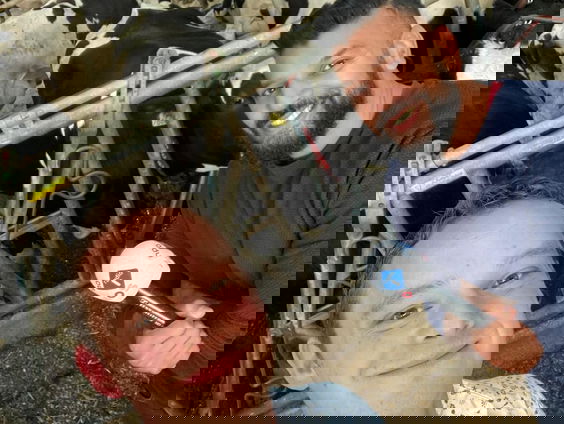 Melkveehouderijen in Limburg hebben het zwaar