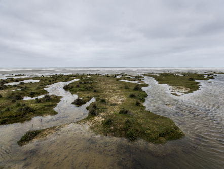 Reinout op pad met natuurfilmer Ruben Smit