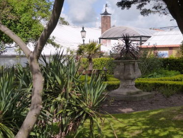 Hortus Overzee: de Japanse lakboom