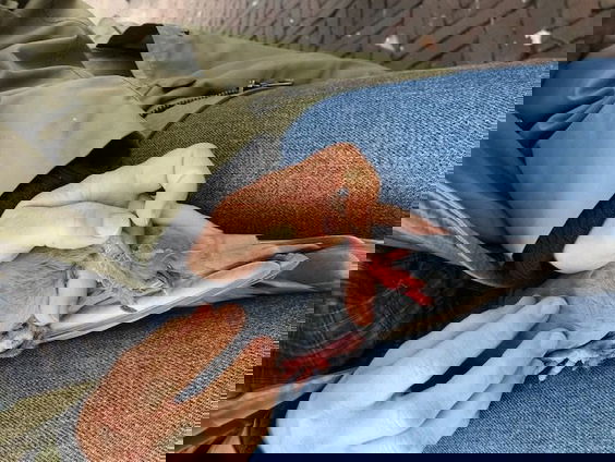 "We moeten veel beter zorgen voor onze stadsduif"