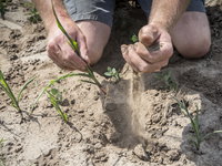 Steeds meer boeren mogen niet meer sproeien: wat nu?