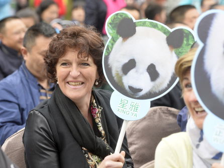 Eerder gehoord: Nederland in de ban van de panda-gekte