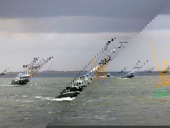 Schepen stoten massa’s giftige gassen uit langs de kustlijn van Flevoland