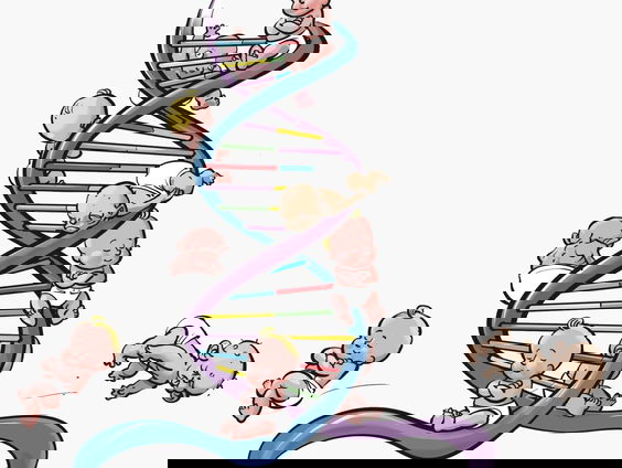 "Je moet zelf kunnen kiezen welk geslacht je kind krijgt"