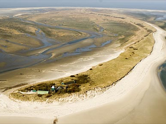 Terug naar Rottumerplaat