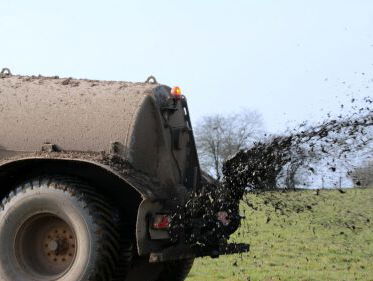 Agrarisch adviesbureau uit Heythuysen staat terecht voor tonnen aan mestfraude