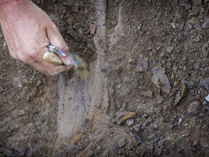 Utrecht 8000 jaar ouder