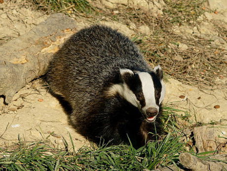 De Overnachting met Jaap Dirkmaat