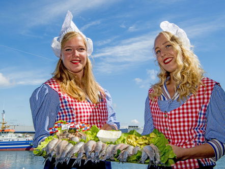 Haring met uitjes, ze zijn er weer!