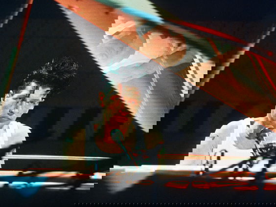 Nieuw boek van Gerard Wessel over Herman Brood