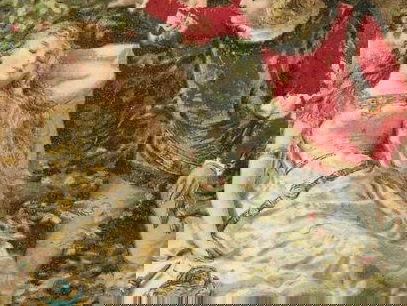 Het Doornroosjescenario: museum dichttimmeren voor de toekomst