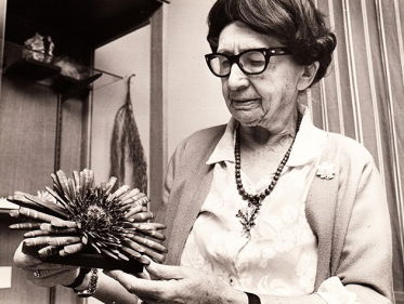 Zeemuseum Miramar- museumschat