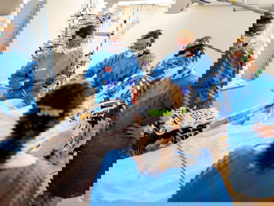 Zorgmedewerkers van academische ziekenhuizen willen meer salaris