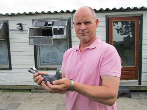 'Mijn duiven zaten letterlijk in de gevangenis'