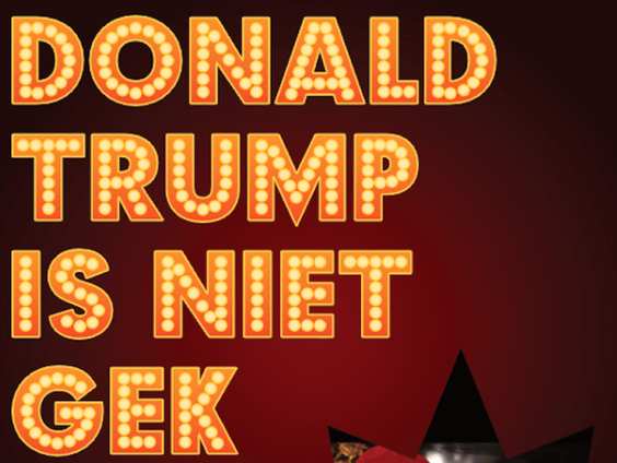 Voorstelling: Donald Trump is niet gek