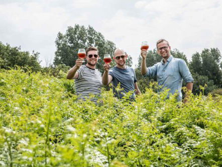 Dit is de Zomer: De beste bieren van Nederland