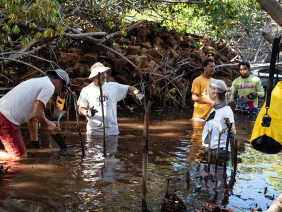 Mangrove Maniakken in Bonaire
