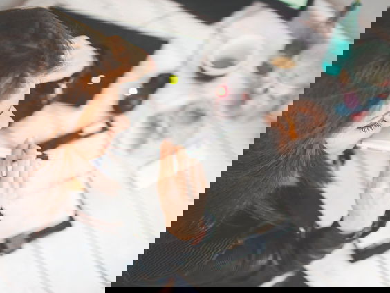 Terug naar kantoor? Steeds meer bedrijven laten werknemers thuiswerken