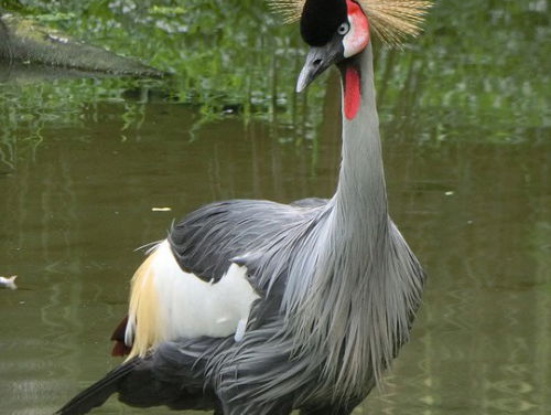 Thuisfluiters met Ruben Terlou