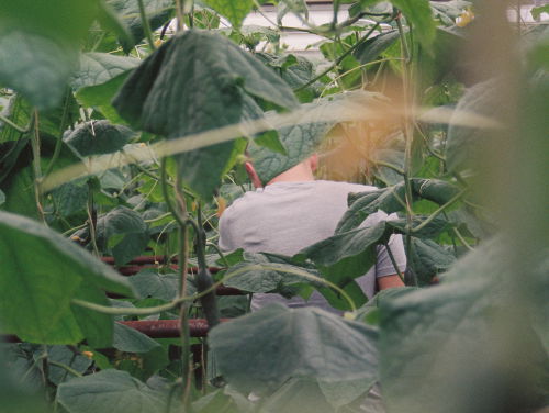 Podkas - Pawel de Poolse plukker 'Deel 4'