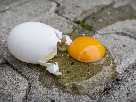 Feit of fictie: ei kost hetzelfde als 60 jaar geleden