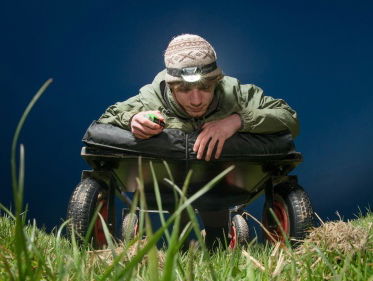 Rode regenworm helpt boer én natuur