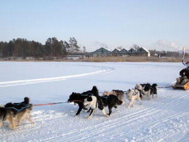 Bellenblazen in Jakoetsk