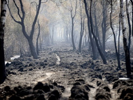 Natuurbrand Deurnese Peel twee keer groter dan gedacht