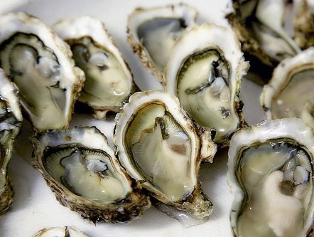 Het openen van een oester: Het is een kunst.