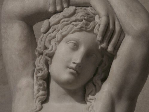 Geregistreerd transgender