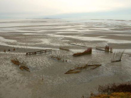 Sense of place - project rond de Wadden