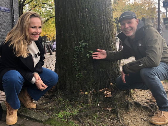 Lies Visschedijk over de boom