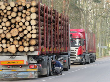 Boete als Polen oerbos blijft kappen