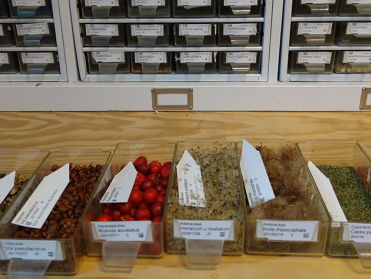 Start van het Levend Archief