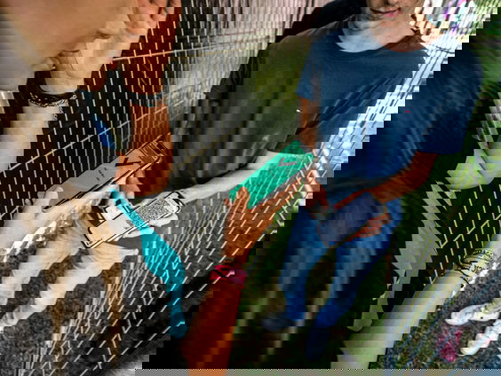 Moeten we ons zorgen maken over de oplopende coronabesmettingen?