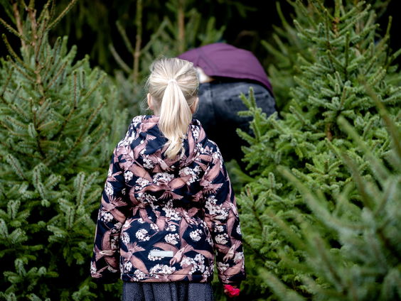 Kinderombudsvrouw: 'Maak een uitzondering voor reizen van ouders buiten de EU'