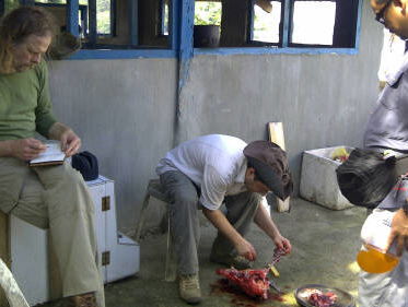 Leger Filipijnen: gegijzelde Nederlander Ewold Horn gedood