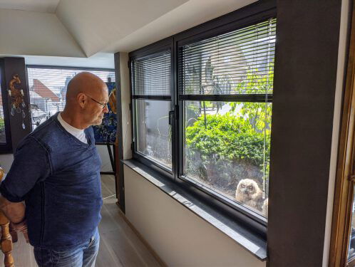 Deze man heeft een oehoe-nest in zijn bloembak